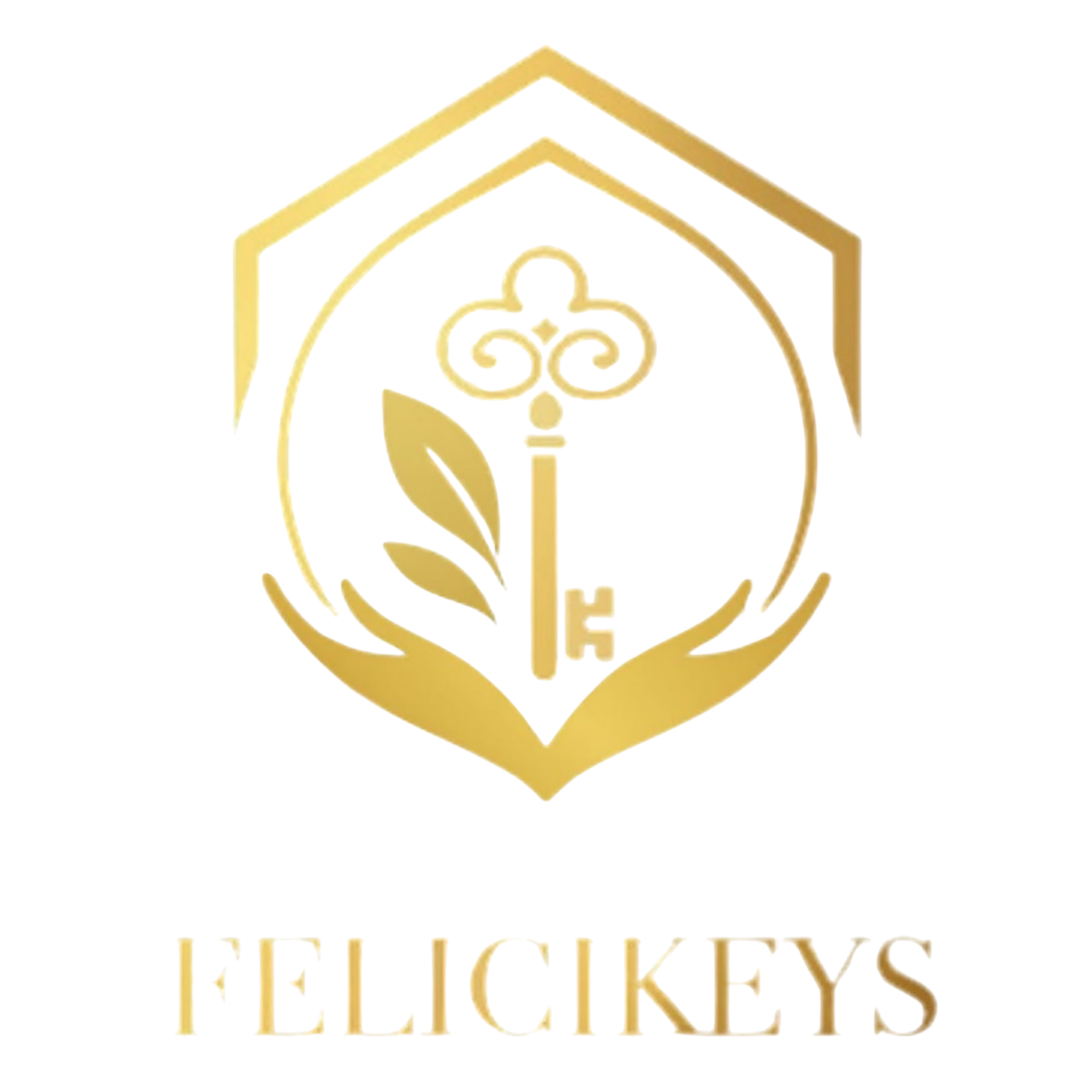 Logo Felicikey Conciergerie